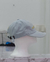 Gorra “Balenciaga”