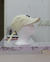Gorra “Chanel” en internet