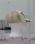 Gorra “Gallery Deep” - comprar online