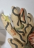 Fazer as pazes com a vida - loja online