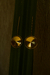 Brincos