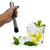 Macerador Socador De Caipirinha Para Drinks E Cozinha Inox - loja online