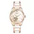 Orkina relógio de pulso feminino, relógio de pulso mecânico à prova d'água com pulseira de aço fashion para mulheres