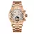 Reef Tiger-Relógio Desportivo Automático Masculino, Bracelete de Aço, Ano, Mês, Data, Dia, Luminoso, Esqueleto, RGA703