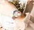 Curren feminino assista topo da marca de luxo ouro feminino à prova dmesh água relógio malha pulseira aço inoxidável flor senhoras relógio pulso 9059