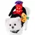 Disfraz de Halloween para mascota - comprar en línea