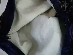 Funda Sobre Estuche Blando Pana Pavo Real - María Eugenia Mensa