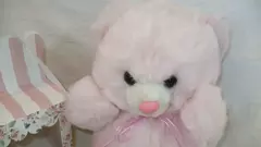 Osa peluche rosa en internet