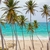 Seña Punta Cana - FEBRERO 2025