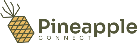 Pineapple Connect