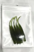 Isca Soft Ueki Shad Shape 9cm 4gr Pct 5un