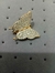 Charm Borboleta Dourada