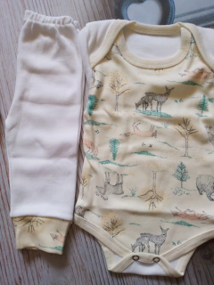 Conjunto en internet
