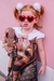 Vestido Dog na Bolsa - Inspiração Louis Vuitton