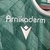 Camisa Santiago Wanderers I 23/24 - Torcedor Macron Masculina - Verde com detalhes em branco - Trajados FC | Camisas de Futebol
