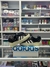 Adidas Campus Bad Bunny - tienda online