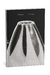 PREVENTA Precipicio, de Zui Long - Novela - comprar online