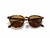 Solar Acetato Onça | Bella Ópticas - comprar online