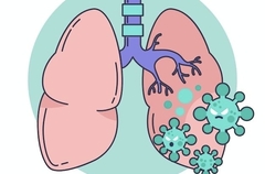 Banner da categoria Patologia