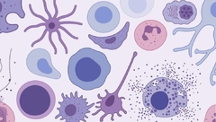 Banner da categoria Histologia