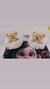 Laços Pompom Ursinho Luxo - comprar online