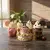 Wafle con frutos - comprar online
