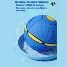 PELOTA FRISBEE en internet