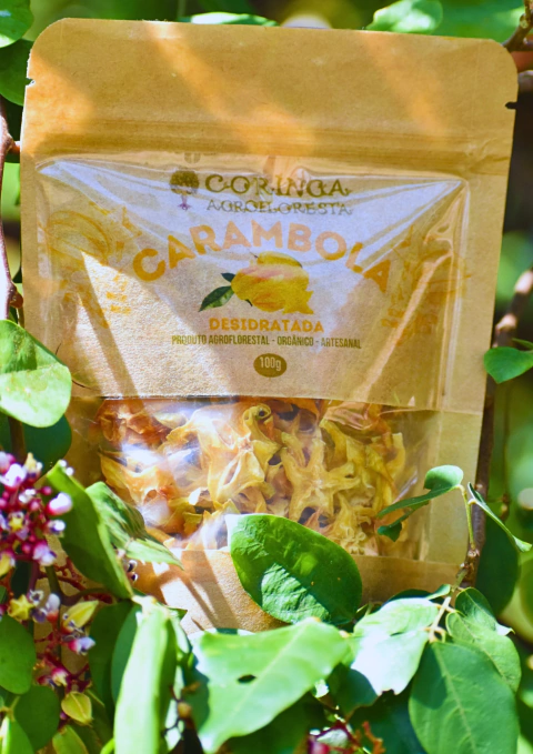 Carambola Desidratada Coringa Agrofloresta 100g - comprar online