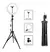 ARO DE LUZ FRIA 10" AITECH + TRIPODE - comprar online