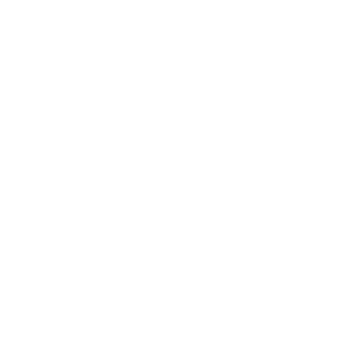 MR FASHION STORE