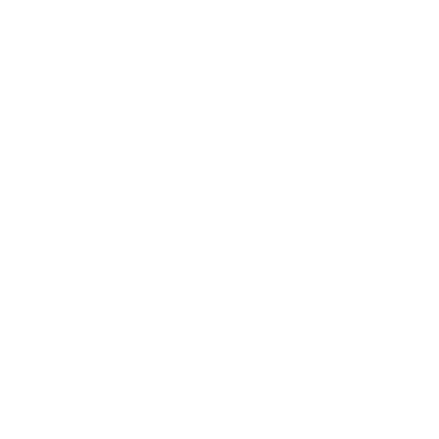MR FASHION STORE