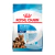 Royal Canin Starter Maxi