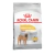 Royal Canin Medium Dermacomfort