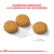 Royal Canin Medium Dermacomfort en internet