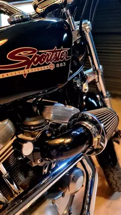 Imagen de Harley | Sporter 883