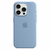 Silicone case iPhone 11 PRO - comprar online