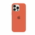 Silicone Case iPhone 13 PRO MAX en internet