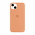 Silicone case iPhone 15 Plus. - tienda online