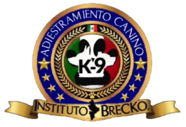 Instituto Brecko