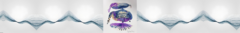Banner da categoria Orgânica