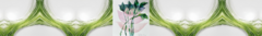 Banner da categoria Natureza
