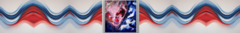 Banner da categoria Orgânica