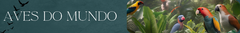 Banner da categoria Aves do Mundo