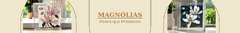 Banner da categoria Magnólias – Flores que Persistem