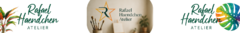 Banner da categoria Botânica - Respirar da Terra