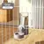 Alimentador Automático para Cachorro e Gato | Comedouro e Bebedouro para seu Pet com Praticidade e Segurança na internet