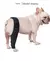 Cinta de Suporte para Patas Traseiras e Dianteiras de Pets | Suporte e Protetor Ortopédico para o Seu Cachorro