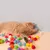 Imagem do Brinquedo Interativo de treinamento para gatos | Lançamentos para Gatos