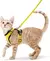 Peitoral Macio e Seguro para Gatos + Guia resistente na internet