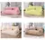 Sofá Cama Para Gatos e Cães Várias Cores | Mais conforto e Qualidade - comprar online